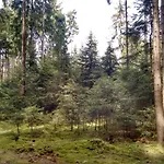 Nyaraló Austragshaus Almbranz *
