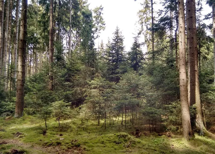 בית נופש Austragshaus Almbranz *